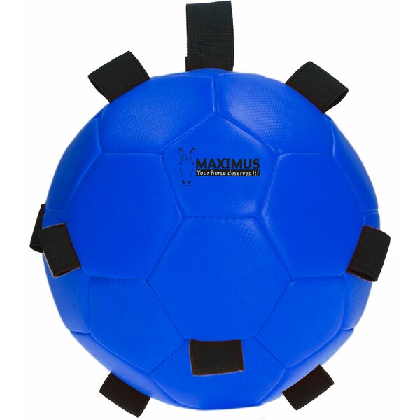 MAXIMUS Fun Play Ball