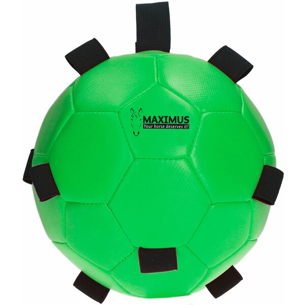 MAXIMUS Fun Play Ball