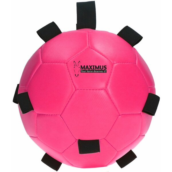 MAXIMUS Fun Play Ball