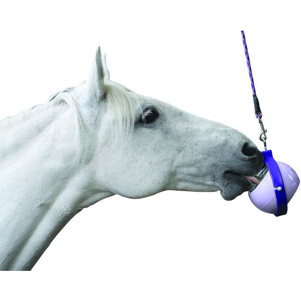 Likit Boredom Buster