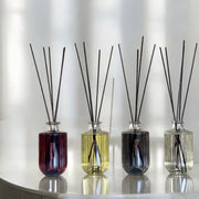 Signature Raumduft – Sinnlich-würziger Diffusor mit Amber & Kräutern