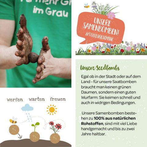 Lose Wildblumen-Samenbomben, unverpackt