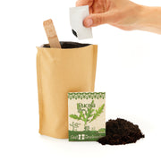 Anzuchtset – Minigarten BIO-Rucola