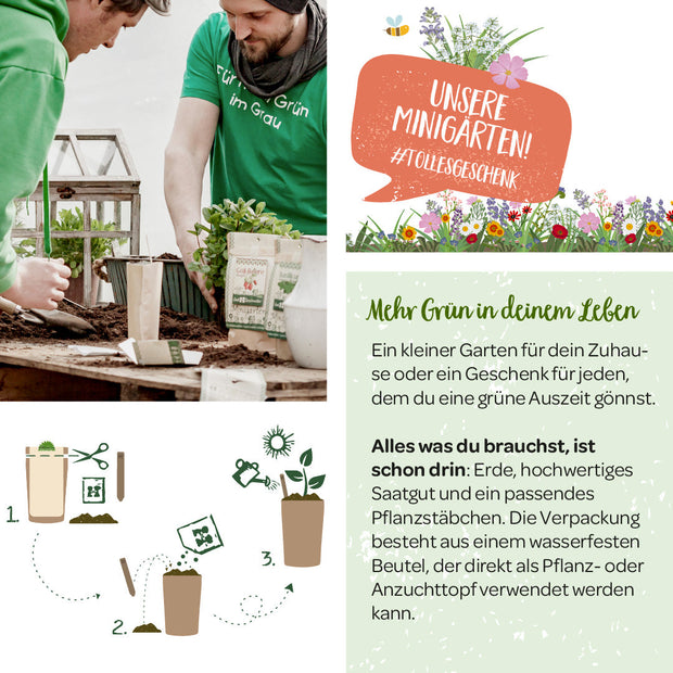 Anzuchtset – Minigarten BIO-Petersilie