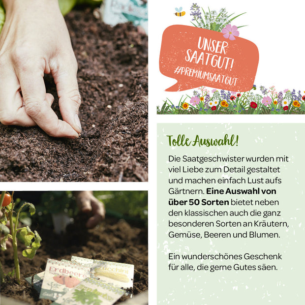 100 g Wildblumen-Saatgut