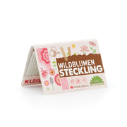 Saatgut-Steckling "Wildblumen"