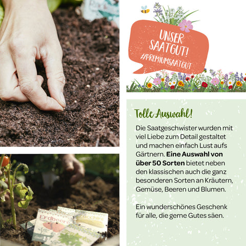 100 g BIO Wildblumen-Saatgut