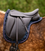 Island Satteldecke Landsmót