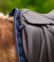 Island Satteldecke Landsmót