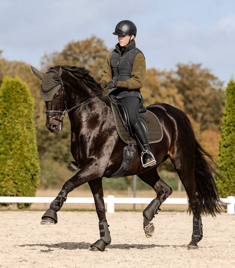 Schabracke St. Gallen