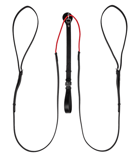 Waldhausen W-trainRein