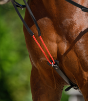 Waldhausen W-trainRein