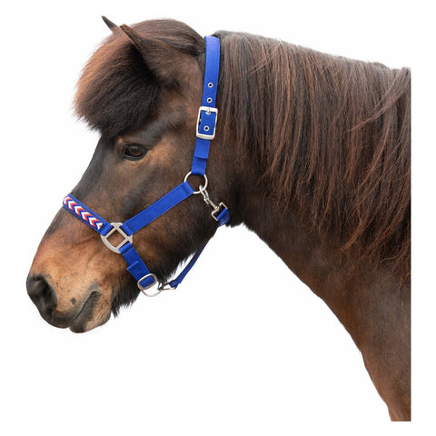 Horse-friends Island-Halfter Falkirk