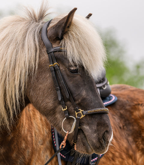 Island Trensenzaum Ice
