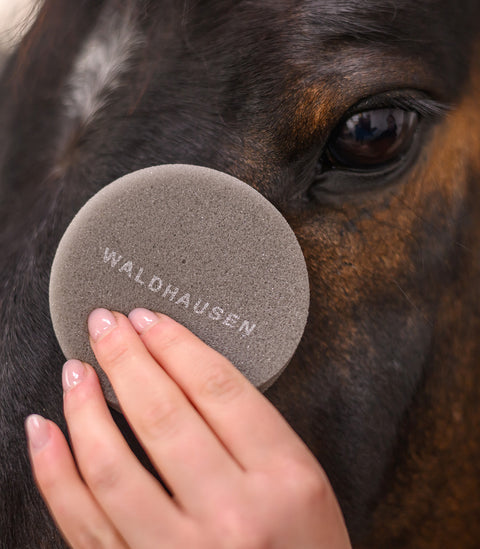 Runder Pflegeschwamm soft