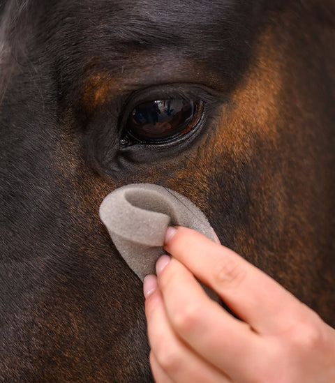 Runder Pflegeschwamm soft