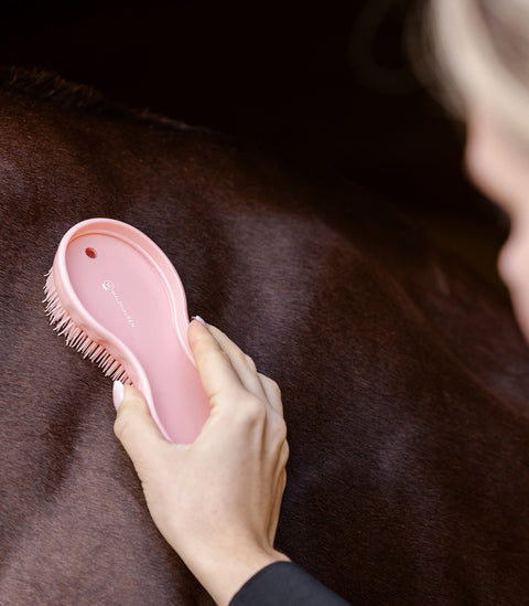 Bürste "All-in-one"