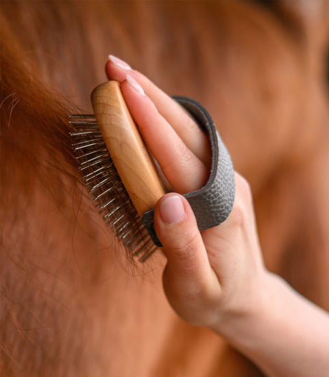 Exclusive Line Mähnenbürste