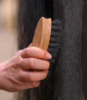 Exclusive Line Schmutzbürste