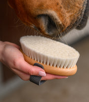 Exclusive Line Kopfkardätsche