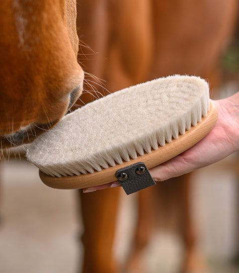 Exclusive Line Glanzbürste