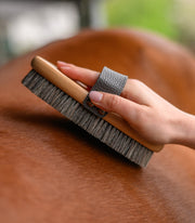 Exclusive Line Kardätsche