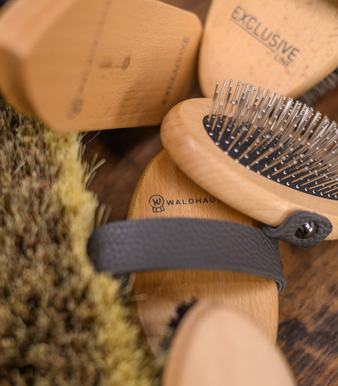 Exclusive Line Kardätsche