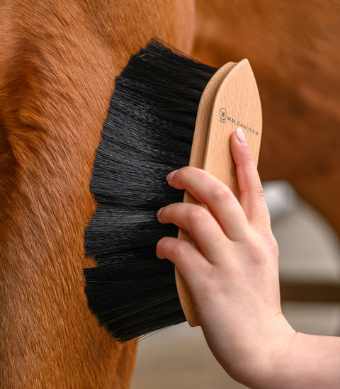 Exclusive Line Staubbürste