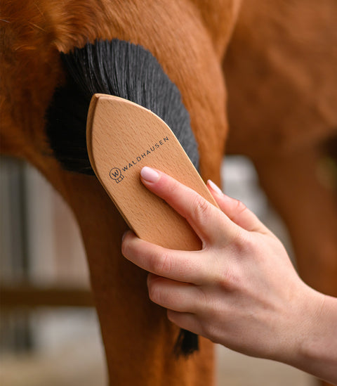 Exclusive Line Staubbürste