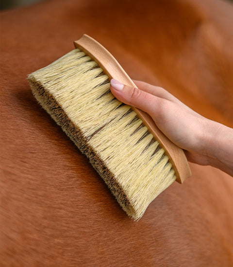 Exclusive Line Fellbürste