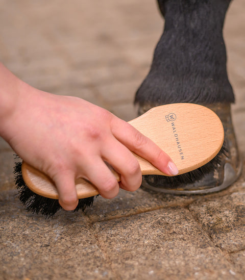 Exclusive Line Hufbürste