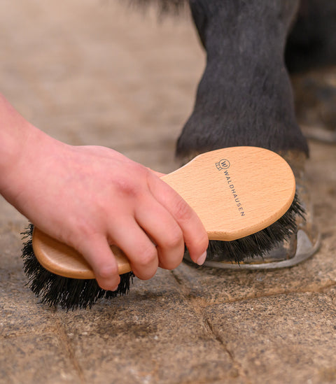 Exclusive Line Hufbürste