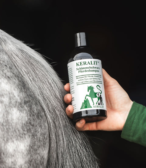 KERALIT Schimmelschwarz Shampoo
