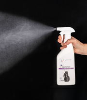 Hautspray mit Lebermoos, 500 ml