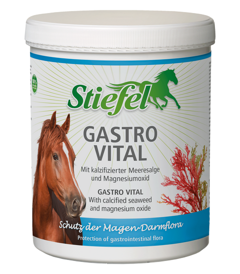 Stiefel Gastro Vital 1kg