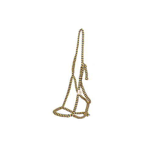 F. R. A. Halfter Sven