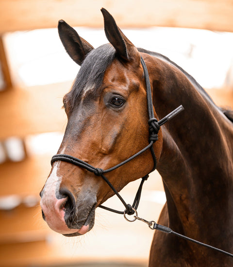 Knotenhalfter mit beweglichem Ring