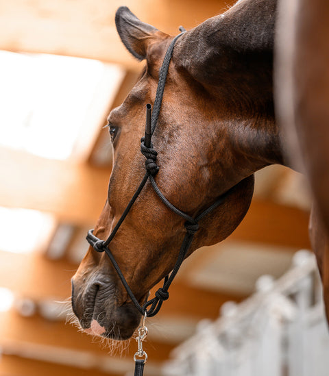 Knotenhalfter mit beweglichem Ring