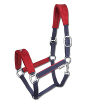 Island Halfter Hellnar