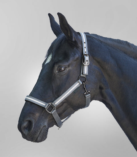 REFLEX  Halfter Stripe