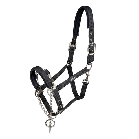 WALDHAUSEN Halfter Pro Safety