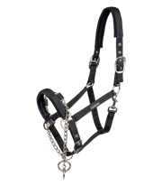 Halfter Pro Safety
