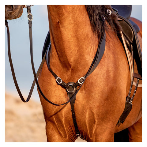 SIGNUM Vorderzeug Conde