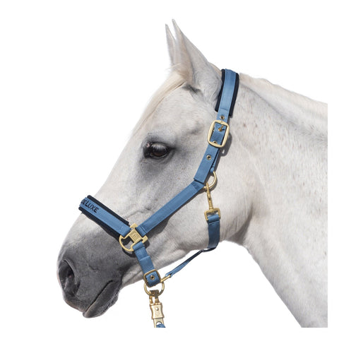 Cheval de Luxe Halfter