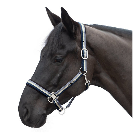 black forest Halfter