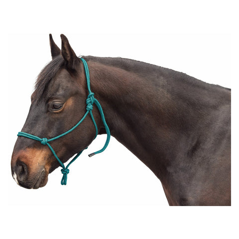 Passion 4Q Knotenhalfter