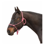 Passion 4Q Knotenhalfter