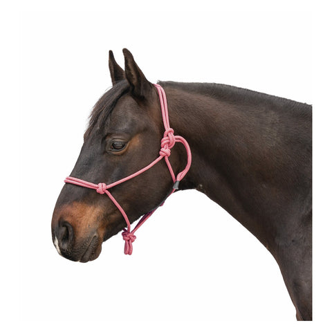 Passion 4Q Knotenhalfter