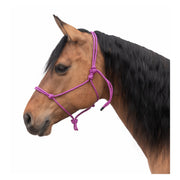 Passion 4Q Knotenhalfter