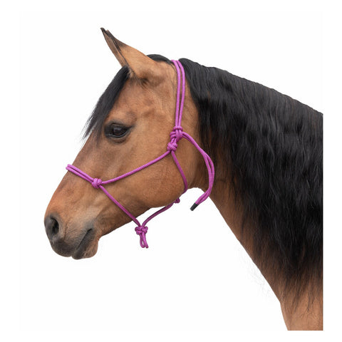 Passion 4Q Knotenhalfter